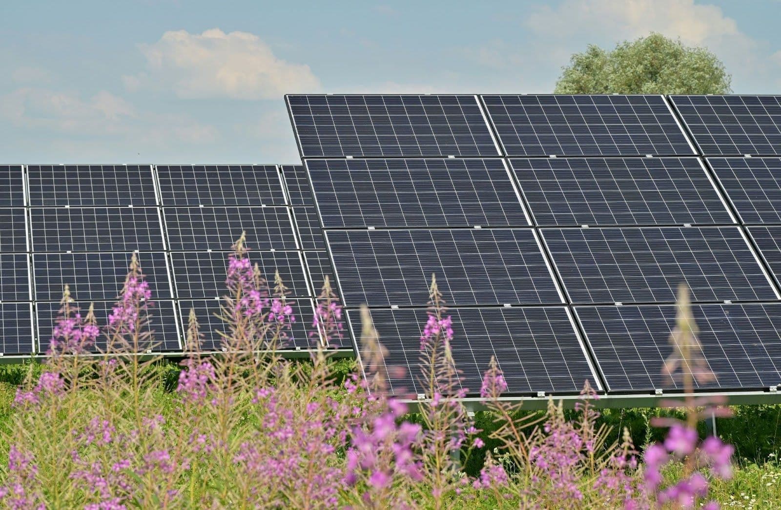 Rich text section image