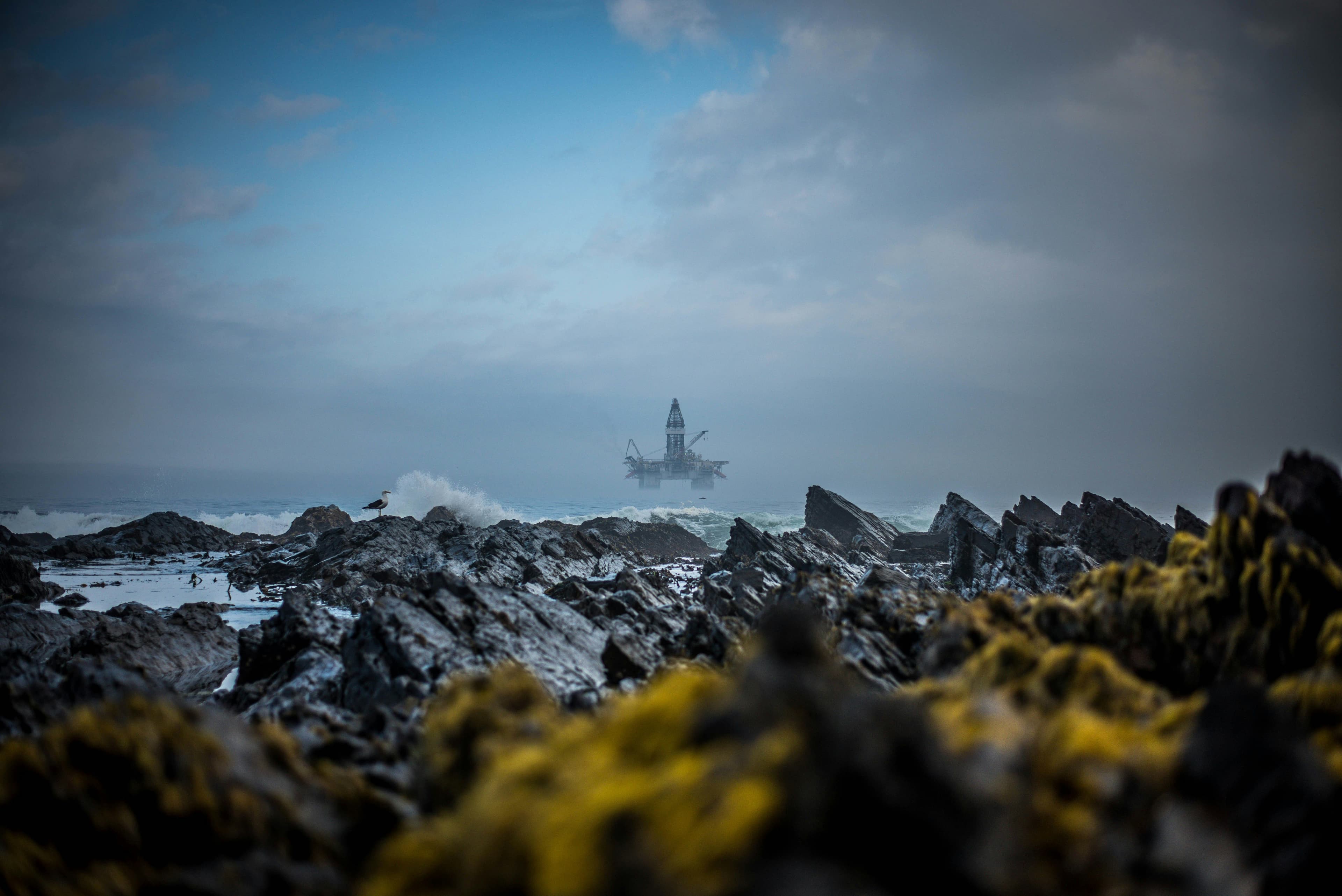 Oil and Gas Consulting: Expert Methods for Cost Management and Price Anticipation