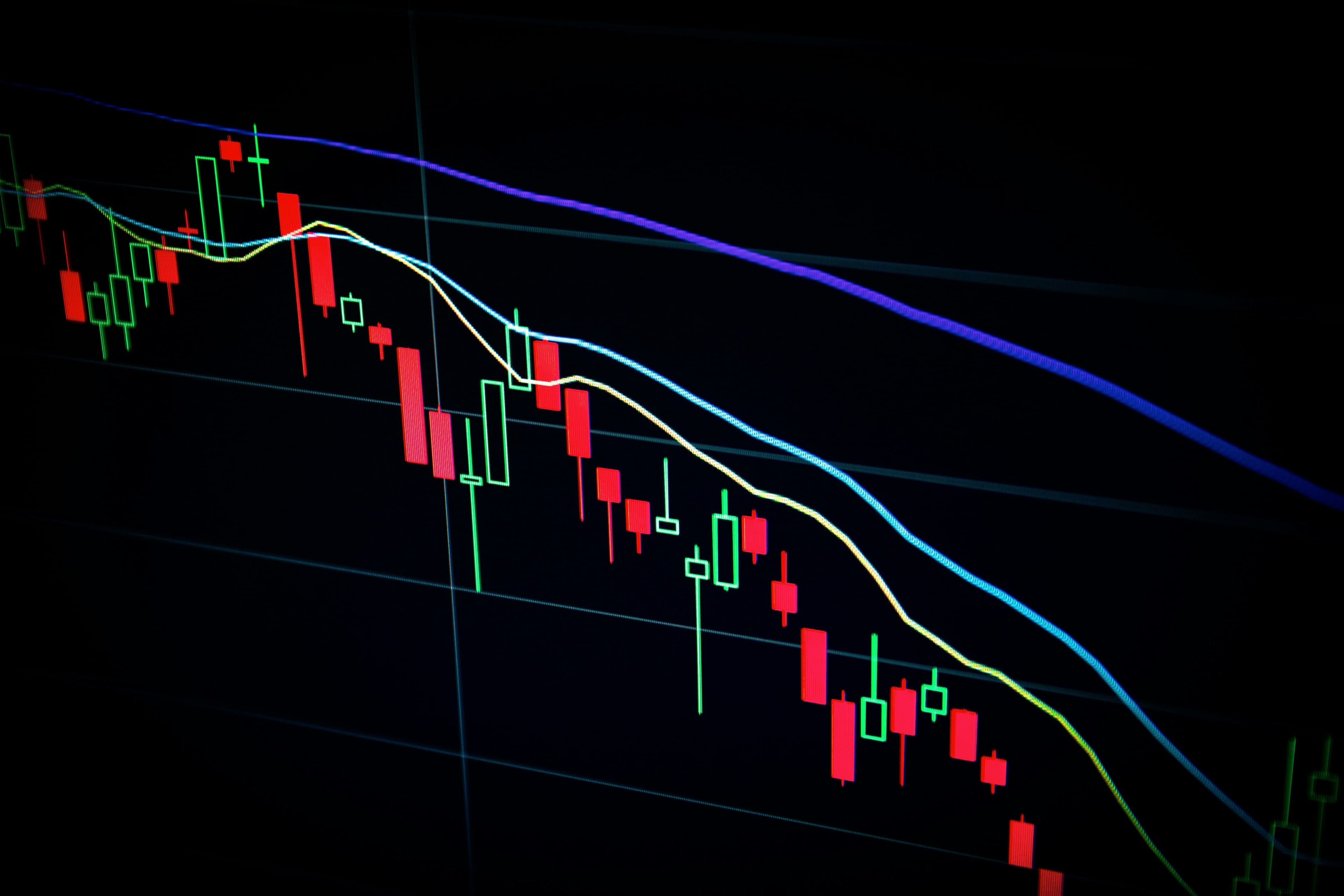 Economic Forecasting: How to Find Market Demand